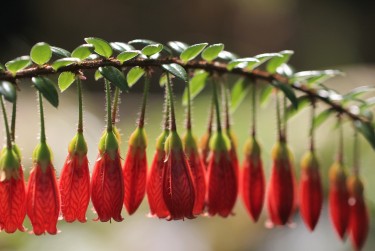 南京玄武区7零用贷短借：轻松解决临时资金需求