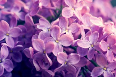 南京玄武区7企业急用钱贷款攻略：快速融资解燃眉之急